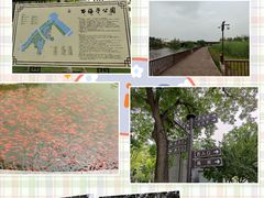 -西海子公园