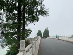 -东湖磨山景区