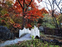 -阳台山自然风景区