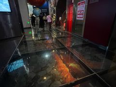 -烟台自然博物馆