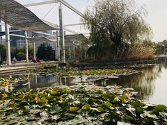 -丁家河公园