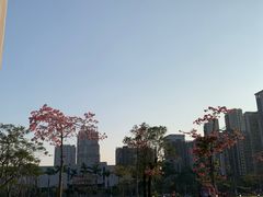 -美食汇·海鲜自助西餐厅·江门富力万达嘉华酒店