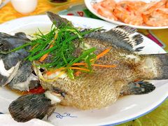 -梅姐海鲜餐厅(水头海鲜街店)