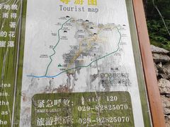 -王顺山国家森林公园