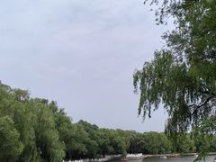 -北陵公园