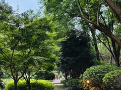 -成都安仁福朋喜来登酒店