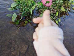 -重庆彩云湖湿地公园