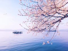 -西湖风景名胜区(西湖)