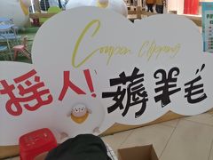 -阳光天地