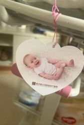 -玛丽亚妇产医院