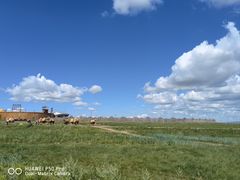 -呼伦贝尔大草原巴尔虎蒙古部落民俗旅游度假景区