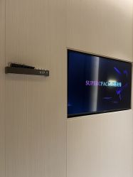 -雅荷悦来双美