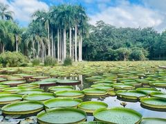 -中国科学院西双版纳热带植物园