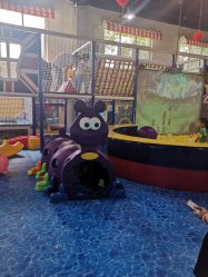 -开心哈乐亲子乐园(东森时尚百货店)