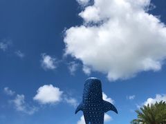 -珠海长隆海洋王国