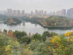 -重庆彩云湖湿地公园