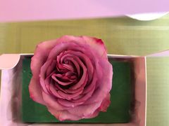 -森野花艺培训·企业团建活动沙龙