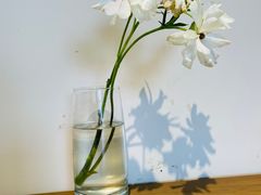 -臻鲜燕海鲜融合餐厅(金陵style店)