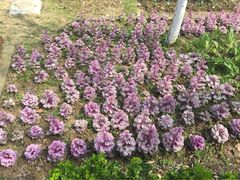 iphone_upload_pic-太阳岛度假酒店