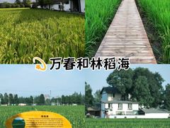 -老鼎万春卤菜(五代传承创始老店)