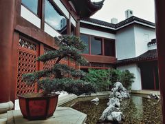 -苏州吴宫泛太平洋酒店