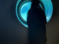 -白鹤梁水下博物馆