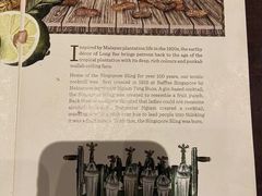 -Long Bar(莱佛士酒店)