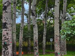 -元大都城垣遗址公园