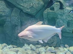 -泉城欧乐堡海洋极地世界