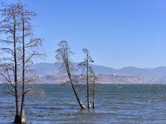 -大理洱海