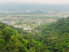 -南丹山森林王国