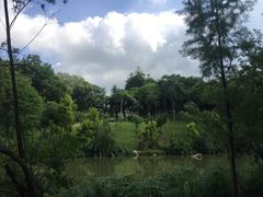 -云溪植物园