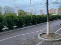 -丁香湖公园