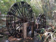 -大屏嶂森林公园