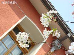 -浙江省杭州高级中学(贡院校区)