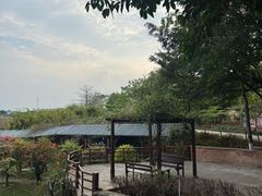 -盈香心动乐园