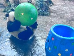 -石家庄市动物园