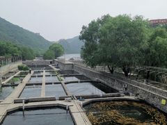 -天源渔港农庄