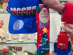 -谢列梅捷沃国际机场