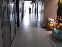 -引领英语·成人口语·雅思托福