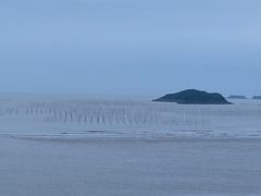 -北岐滩涂