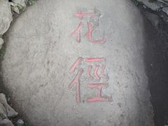 -庐山风景区花径公园