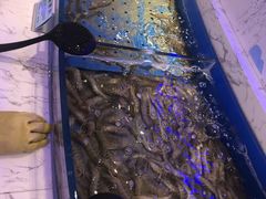 -澜悦港海鲜体验主题餐厅
