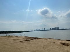 -瑶湖郊野森林公园