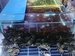 -聚盛源蒸汽海鲜火锅烤肉自助(巨川金海岸购物广场店)