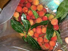 塘栖超山杨梅采摘-塘栖枇杷特色园区