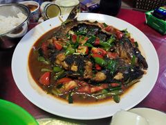 -生态苑农庄(十里画廊遇龙河店)