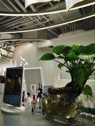 -MYYF SALON烫发染发