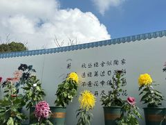 -南山植物园