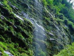 -碧峰峡风景区
